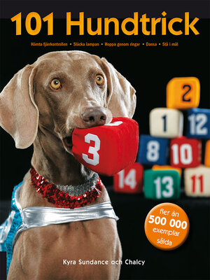 cover image of 101 hundtrick